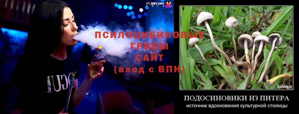 PSILOCYBIN Володарск